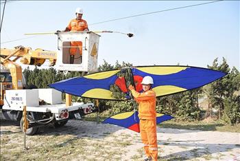 EVNHANOI khuyến cáo về vi phạm an toàn hành lang lưới điện