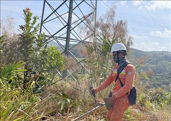 Truyền tải điện Đắk Nông: Đảm bảo lưới điện vận hành an toàn trong thời điểm giao mùa