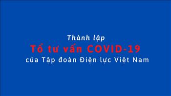 Thành lập Tổ tư vấn COVID-19 của Tập đoàn Điện lực Việt Nam