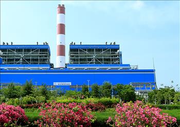 Chùm ảnh: Sắc xanh Trung tâm Điện lực Vĩnh Tân