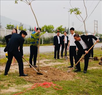 Trồng thêm hàng trăm cây xanh tại công trường Nhà máy Nhiệt điện Quảng Trạch 1 (Quảng Bình)