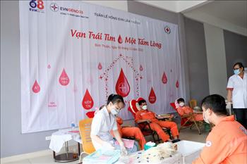 Tuần lễ hồng EVN 2022: EVNGENCO 3 trao tặng hơn 450 đơn vị máu