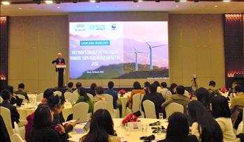 Tầm nhìn ngành năng lượng Việt Nam: Hướng tới 100% năng lượng tái tạo vào năm 2050