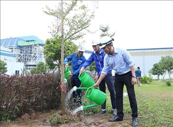 Công ty Nhiệt điện Thái Bình: Trồng và chăm sóc bảo vệ 500 cây xanh