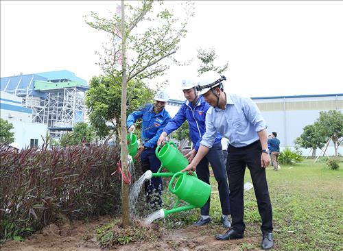 Công ty Nhiệt điện Thái Bình: Trồng và chăm sóc bảo vệ 500 cây xanh