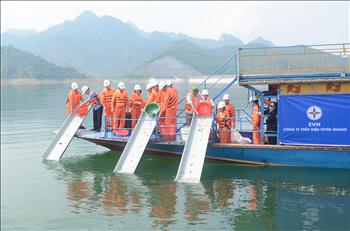 Thả hơn 3 vạn cá chép giống xuống hồ thủy điện Tuyên Quang