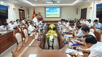 Dự án truyền tải cấp bách đảm bảo điện cho Hà Nam và Thủ đô Hà Nội còn nhiều vướng mắc mặt bằng