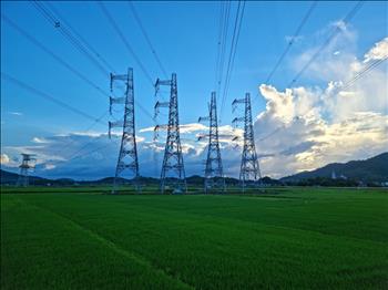 Hoàn thành toàn bộ Dự án đường dây 500kV đấu nối Nhà máy Nhiệt điện BOT Nghi Sơn 2 vào hệ thống điện quốc gia