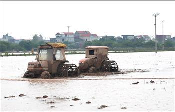 Tỷ lệ lấy nước đổ ải tại Hưng Yên và TP Hà Nội đang thấp nhất