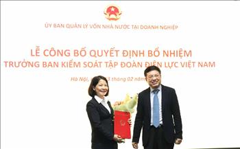 Công bố quyết định bổ nhiệm Trưởng ban Kiểm soát Tập đoàn Điện lực Việt Nam