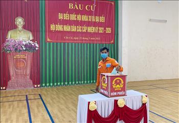Chùm ảnh: CBNV Tập đoàn Điện lực Việt Nam nô nức đi bỏ phiếu trong 