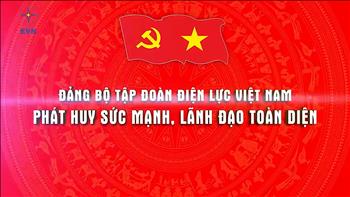 Đảng bộ Tập đoàn Điện lực Việt Nam - Phát huy sức mạnh, lãnh đạo toàn diện