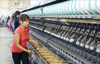 Lâm Đồng: Điện cho những dây chuyền sản xuất