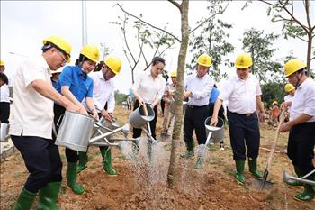 EVNNPC trồng 500 cây xanh tại Khu di tích lịch sử Đền Hùng