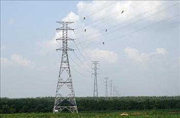 Đóng điện đường dây 220 kV Nhà máy Điện mặt trời Dầu Tiếng - Tây Ninh