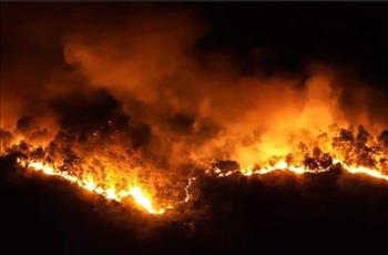 Hà Tĩnh: Cháy rừng bùng phát trở lại, Điện lực “trực chiến”