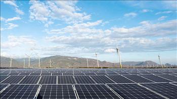 Những vấn đề pháp lý liên quan đến việc dừng huy động phát điện 172MW điện mặt trời của Công ty Trung Nam
