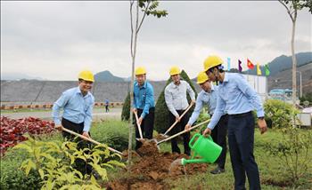 Công ty Thủy điện Tuyên Quang phấn đấu trồng trên 6.400 cây xanh trong năm 2021