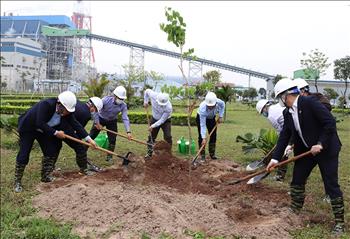Khoảng 5.700 cây xanh đã được trồng tại Nhà máy Nhiệt điện Thái Bình