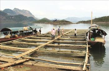 Sơn La: Đầu tư khai thác vùng lòng hồ các thủy điện tại Sơn La 