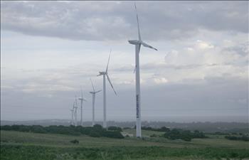 Hỗ trợ mở rộng quy mô điện gió tại Việt Nam 