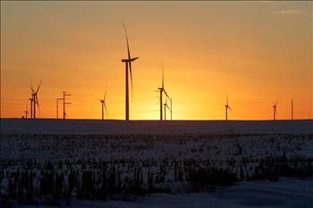 Sản lượng điện từ điện gió của Mỹ sắp vượt qua nhiệt điện than