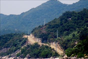 Phòng tránh sự cố lưới điện do động vật hoang dã trên đảo Cù Lao Chàm