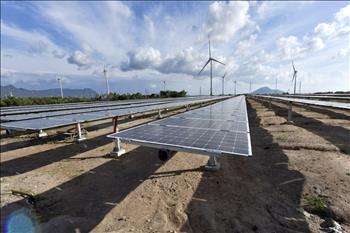 Ngân hàng Nhật Bản tài trợ 300 triệu USD cho năng lượng tái tạo Việt Nam