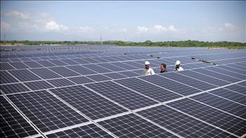 Ninh Thuận: năng lượng tái tạo tăng trưởng tăng mạnh, đóng góp 2,84% GRDP