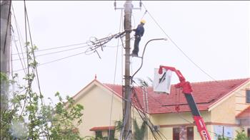 Lưới điện 110 - 500 kV đã vận hành thông suốt sau bão số 10