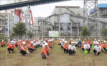 Công ty Nhiệt điện Nghi Sơn hưởng ứng Tết trồng cây Xuân Giáp Thìn 2024