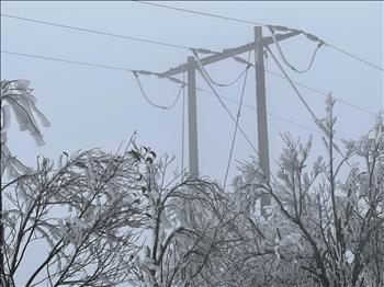 PC Sơn La khôi phục cấp điện trở lại cho 100% khách hàng bị ảnh hưởng do băng tuyết