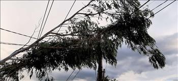 Địa bàn huyện Vĩnh Linh (tỉnh Quảng Trị) xảy ra nhiều vụ vi phạm an toàn lưới điện