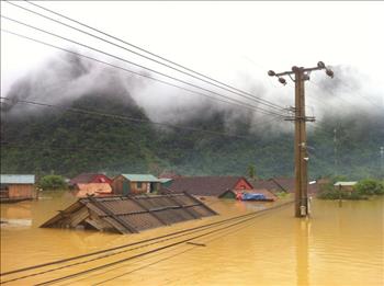 Chính phủ chỉ đạo vận hành an toàn hệ thống lưới điện trong mưa lũ ở miền Trung 