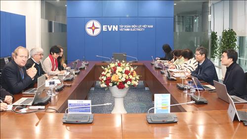 Phó Tổng giám đốc EVN Nguyễn Tài Anh làm việc với Cơ quan Phát triển Pháp (AFD)