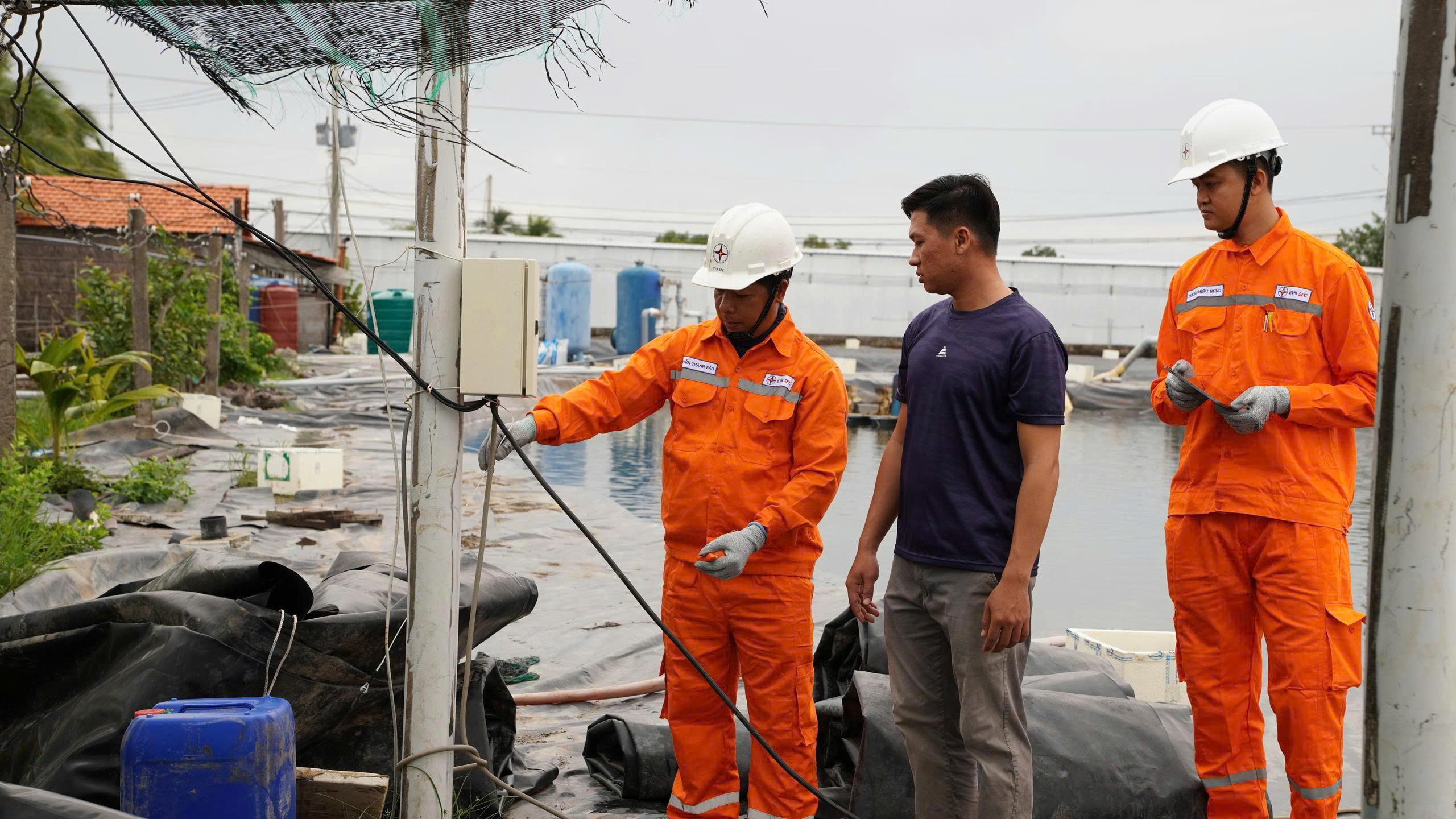 Điện lực đồng hành phát triển tôm Cà Mau 17:13, 05/10/2026