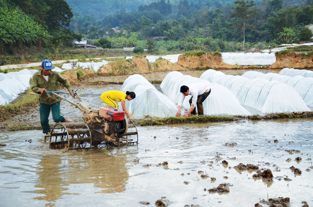 Phú Bình đẩy mạnh cơ giới hóa nông nghiệp  Báo Thái Nguyên điện tử