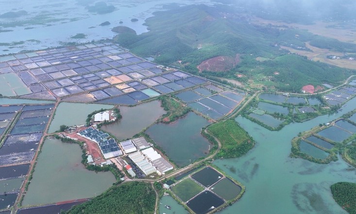 Điện mặt trời: Lan tỏa giải pháp tiết kiệm năng lượng 14:22, 14/07/2026